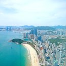 카페 아방가르드 | 국내 가족여행지 추천 아이와 부모님과 부산 여행지 코스