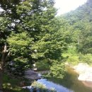 금평1길 이미지