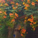 대봉1동주민센터 이미지