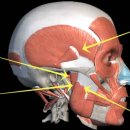 뉴리즈의원 이미지
