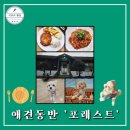 복스럽개 | 애견동반 식당 포레스트ㅣ가평 수목원 맛집 내돈내산 솔직후기
