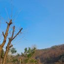 자연을 노래하다 | 가평 - '라루체 글램핑 꿈을 노래하다' 서울 근교 글램핑장 솔직 후기, 놀 거리부터 감성까지 다 잡은 곳