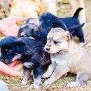 종식농장 이미지