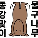 장수돈까스 - 안성시 | 장수돈까스