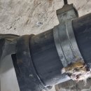 EXPO 화장실 이미지