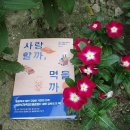 돈수농장 이미지