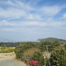 청산노을