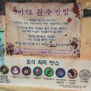 한국아동무용연구회 | 용인 한국민속촌 주말 나들이 [25년 10월] 귀신사바, 야간개장, 연분 공연, 할인 총정리