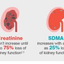 미사 센트럴 동물병원 이미지