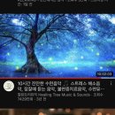 재기쌀상회 | 그 애는 꽃이 아닌 홀씨로 살기로 했다.