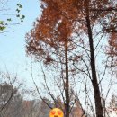 탑골길 | 양산 카페 용당동 탑골길 커피 맛집 라떼 맛집 무무도 내돈내산 방문 후기