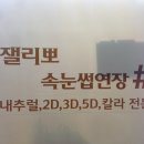 잴리뽀 속눈썹
