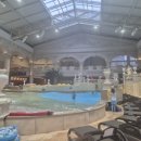 주식회사현대수리조트 | [정선] 하이원리조트 현대홈쇼핑 2박 3일 일정 구매후기 (마운틴콘도 35평,조식,곤돌라,워터월드)