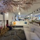 세일화원 | 달서구가구점 찾으세요? 화원 소파식탁 전문할인매장 추천