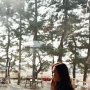 소연필름 이미지