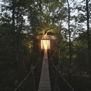 숲속트리하우스 이미지