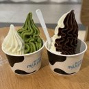 원소프트 | 부천 현대백화점 아이스크림, 줄 서서 먹는 파스퇴르 밀크바 메뉴 솔직후기