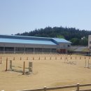 대전승마장 이미지