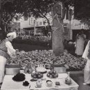 금당약국 이미지