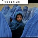 현대 코비스 이미지