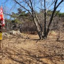 곡성-127 이미지