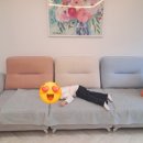 캠프메리어라운드 이미지