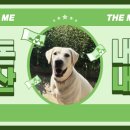 호텔레이지헤븐 이미지