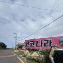 우도 렌트 추천｜코코나라 신형 파미 2인승 내돈내산 후기