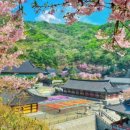 위례성로 이미지