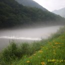 외룡카포스 이미지