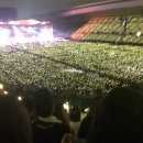 콘서트 Daum카페
