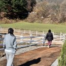 승연목장 이미지