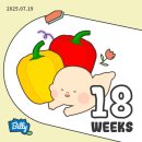 삐사감김밥에빠지다 하남미사점 | 찰떡맘 임신 17주~25주 일상