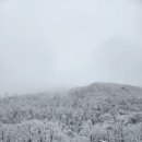 눈이 엄청왔네요(충북진천), 이미지