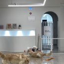 뭉스벨리 이미지