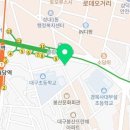백조수선 이미지