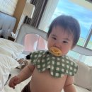안승떡집 | 둘이 아닌 셋이서 제주에서의 2주간 여행, 네번째 (마지막)