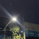 현아PC | 엄빠랑 동대구나들이 - 따코, 걸리버막창, 산더미미성돼지국밥, 르배, 호텔투하트 후기