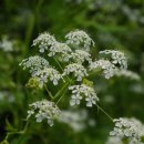 선유도중학교 이미지
