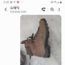 슈메딕 이미지