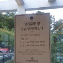 베이커달리아