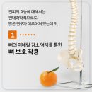 최한의원 네이버블로그