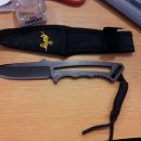 아구대장 이미지