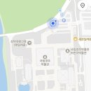 2층188호 | [경주] 신라금관, 권력과 위신