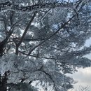 하선길 이미지