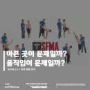 독립 트레이닝 센터 아산 모종점 | SFMA Lv.1 자격 취득 후기 — 통증은 결과일 뿐, 진짜 원인은 움직임 속에 있다. [춘천PTㅣ엘알엠트레이닝]