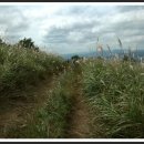 손곡목장 이미지