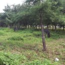 한울무역 이미지