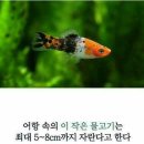 코이 - 미추홀구 경인로 158 | 코이