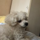 연금가 | 치뤌의 3(삶)